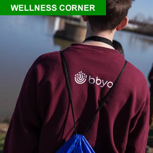 Wellnesscorner, март 2020 г. 300 2