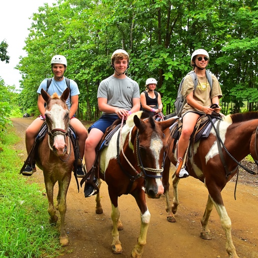 Трое друзей сидят в гамаке